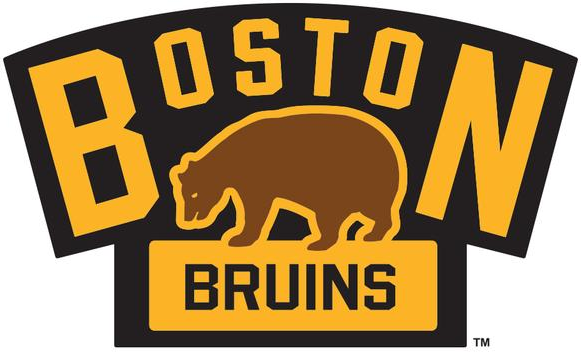 Boston Bruins 2016 Event Logo t shirts DIY iron ons